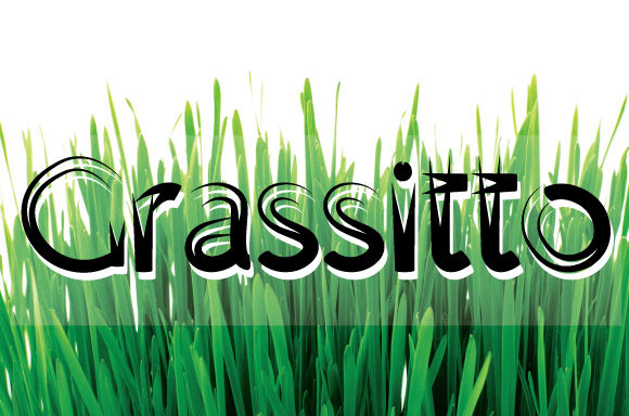 Grassitto: A Bold Display Font for Creative Makers