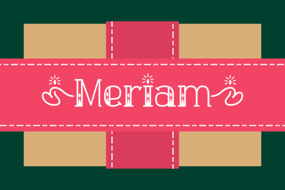 Meriam Font for Modern Web Design and Branding