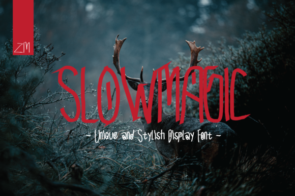 Slow Magic: A Stylish Display Font for Branding Projects