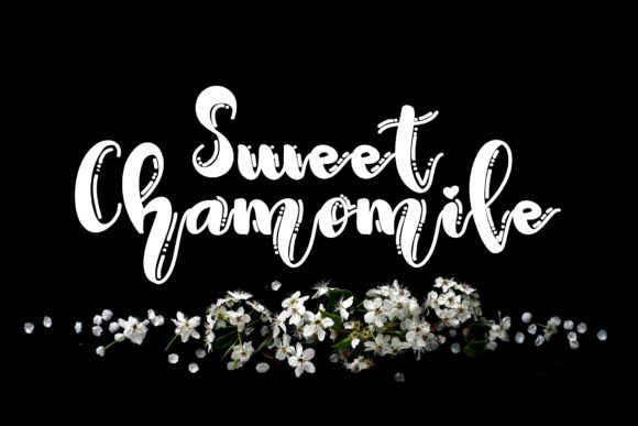 Sweet Chamomile Font for Handmade Creations