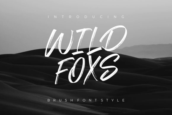 Wild Foxs: A Brushed Display Font for Creative Branding